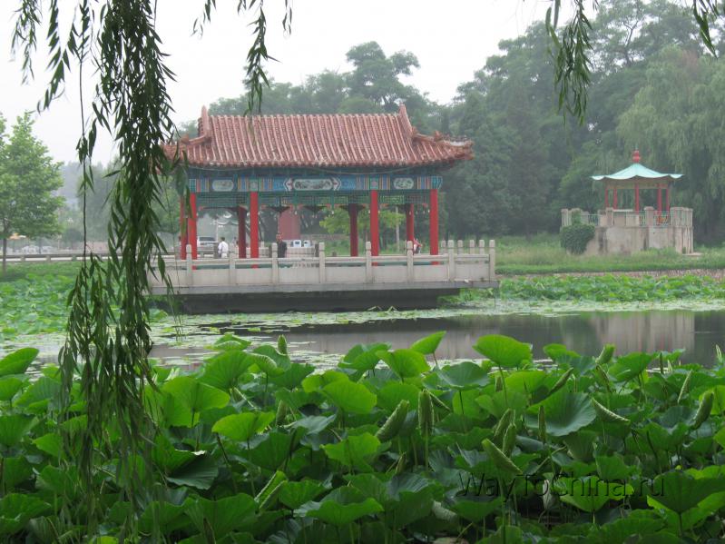 tangantszy_001